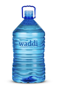 WADDI Springs 12L One Way Water Bottle