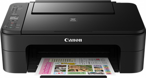 CANON PIXMA TS3160