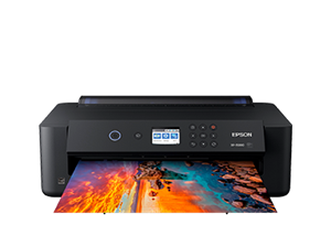 EPSON XP 15000